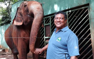 Há 36 anos cuidando dos bichos, Orival é o funcionário mais antigo do Zoo Fábio Barreto